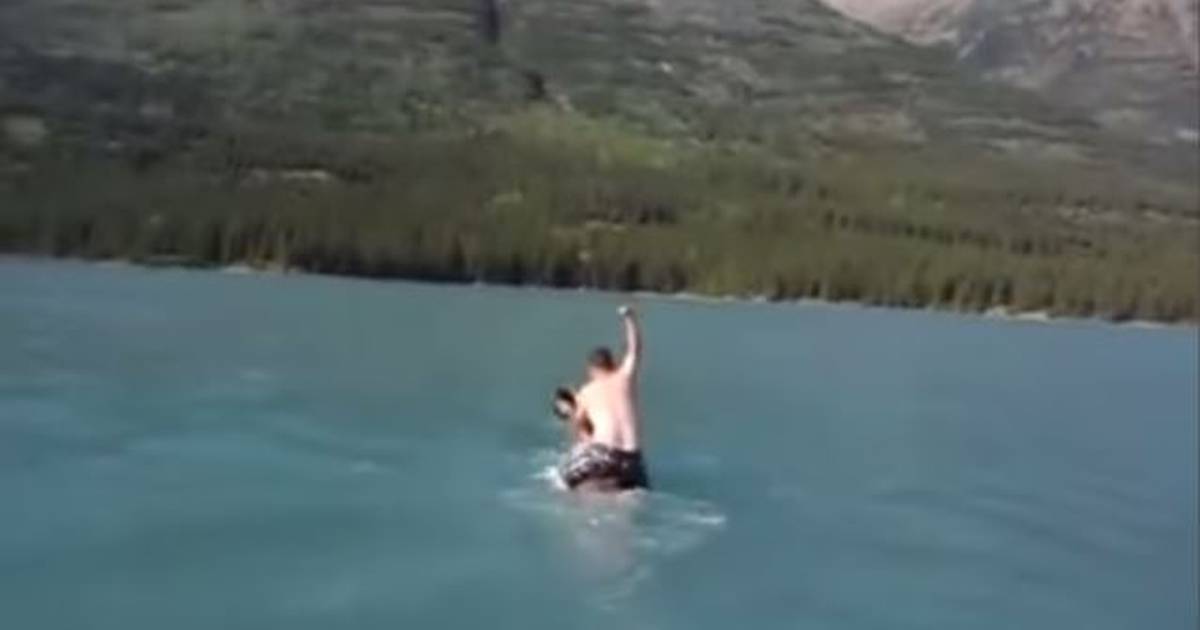 Canadian Moose Porn - VIDEO: Man rides moose in Canadian waterway