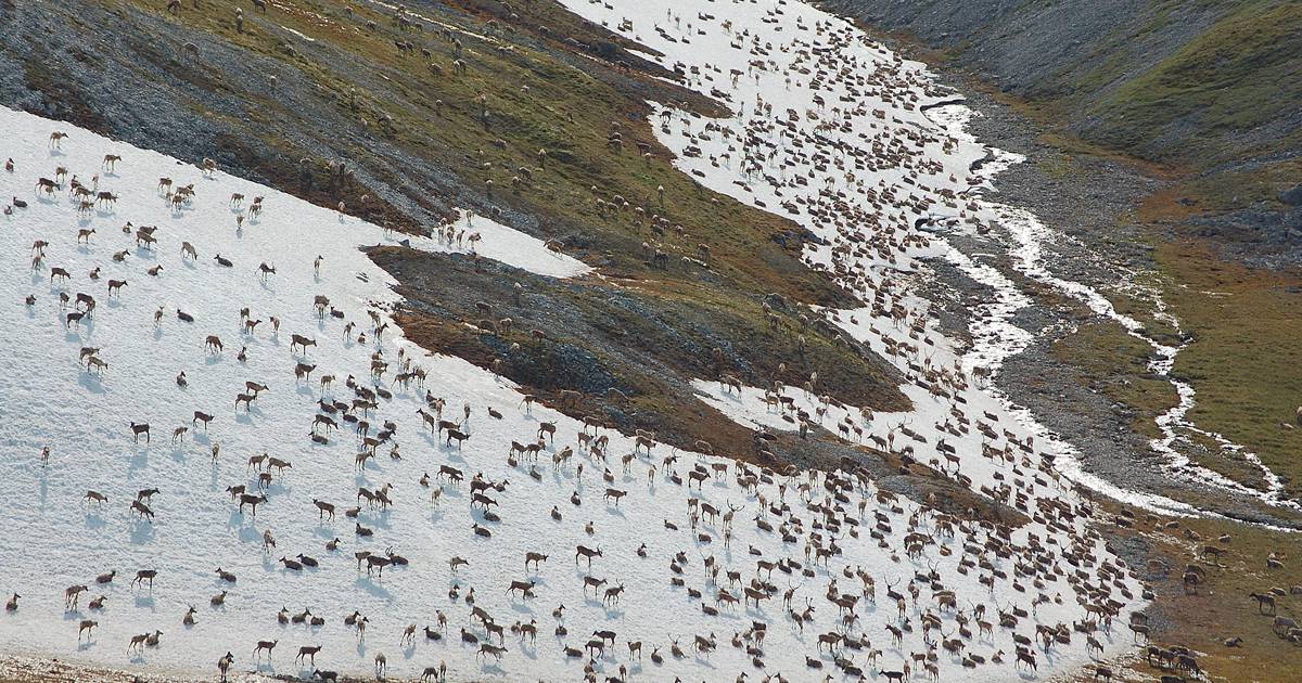 When it comes to protecting Alaska’s wildlife and land, we cannot afford mistakes.