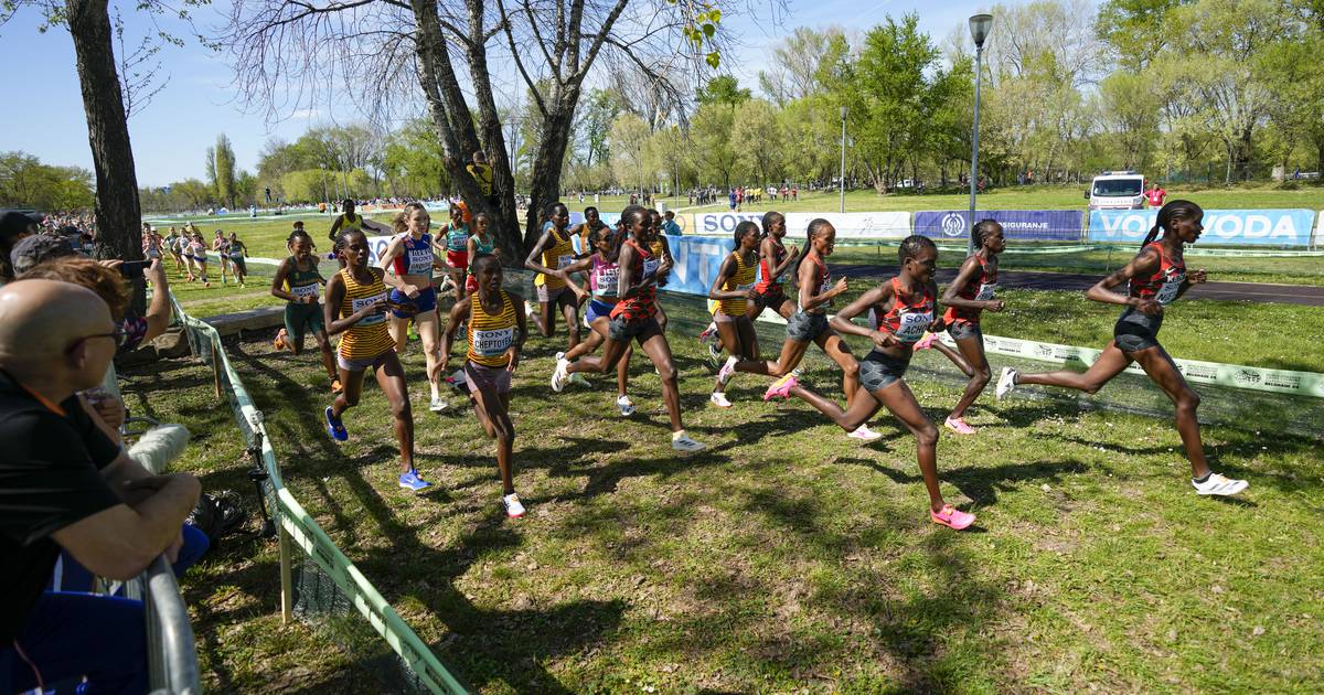 Allie Ostrander of Alaska Places 2nd Among American Runners at Cross Country World Championships
