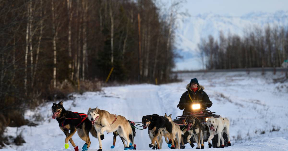 This year’s Iditarod sign-ups matched an all-time low. Here’s what’s behind it.