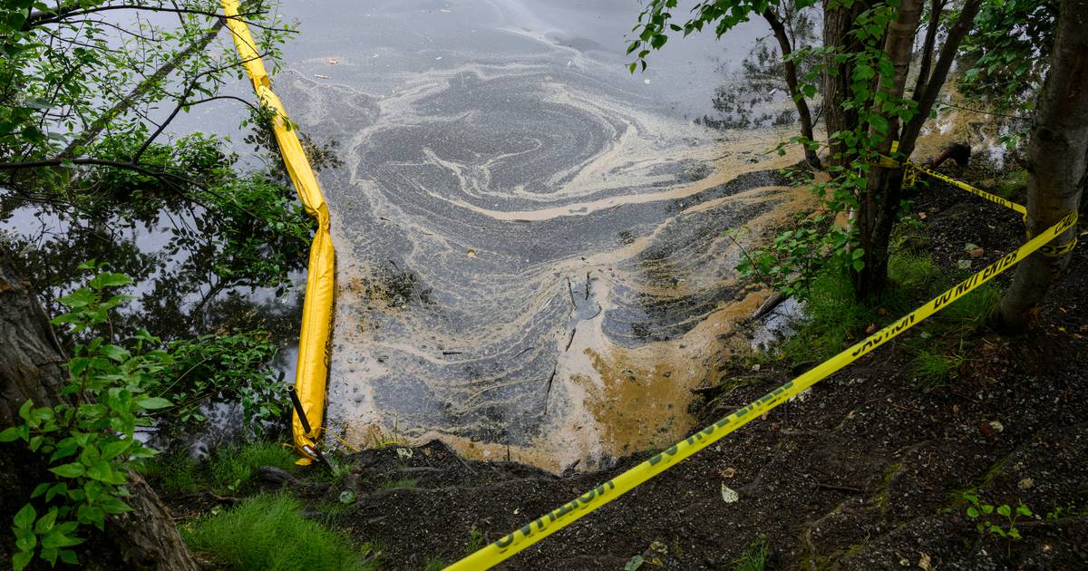 University Lake Park closes as officials respond to oil spill