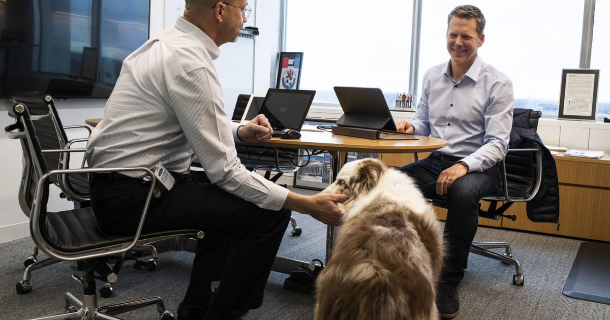 How to create a pet-friendly workplace