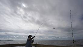 Recreational fishing rules to be overhauled under new law
