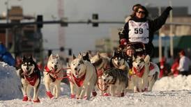 Even during a pandemic, the iconic Iditarod continues