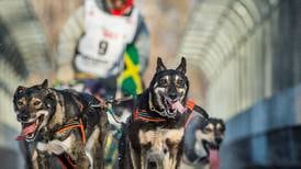 For Iditarod rookies, start line is a reward and the beginning of greater challenges
