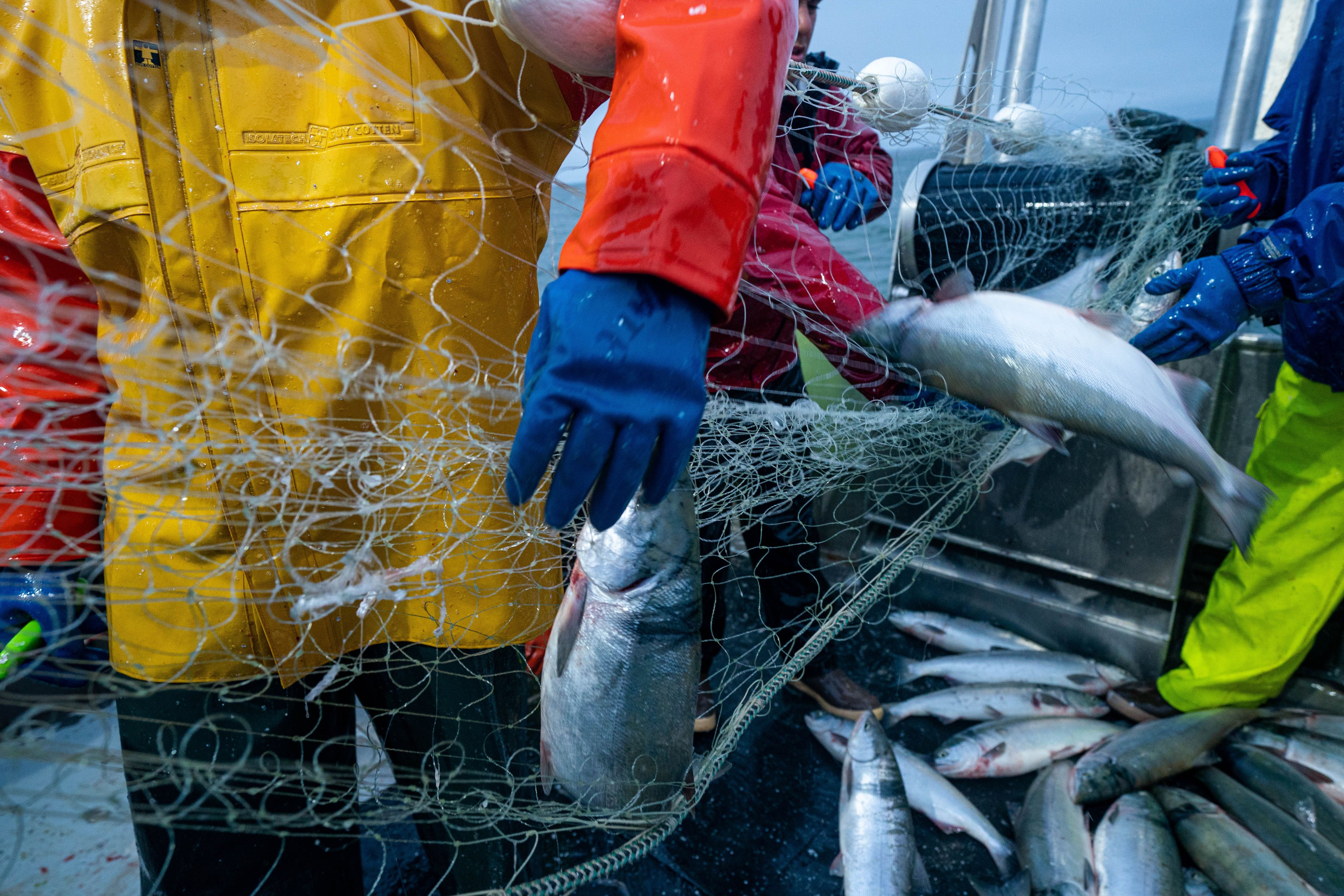 Alaska salmon fishermen fume over low prices, but processors say