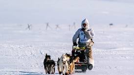 ‘Enough to blow me off the trail’: Top Iditarod mushers contend with fierce winds to reach Nome