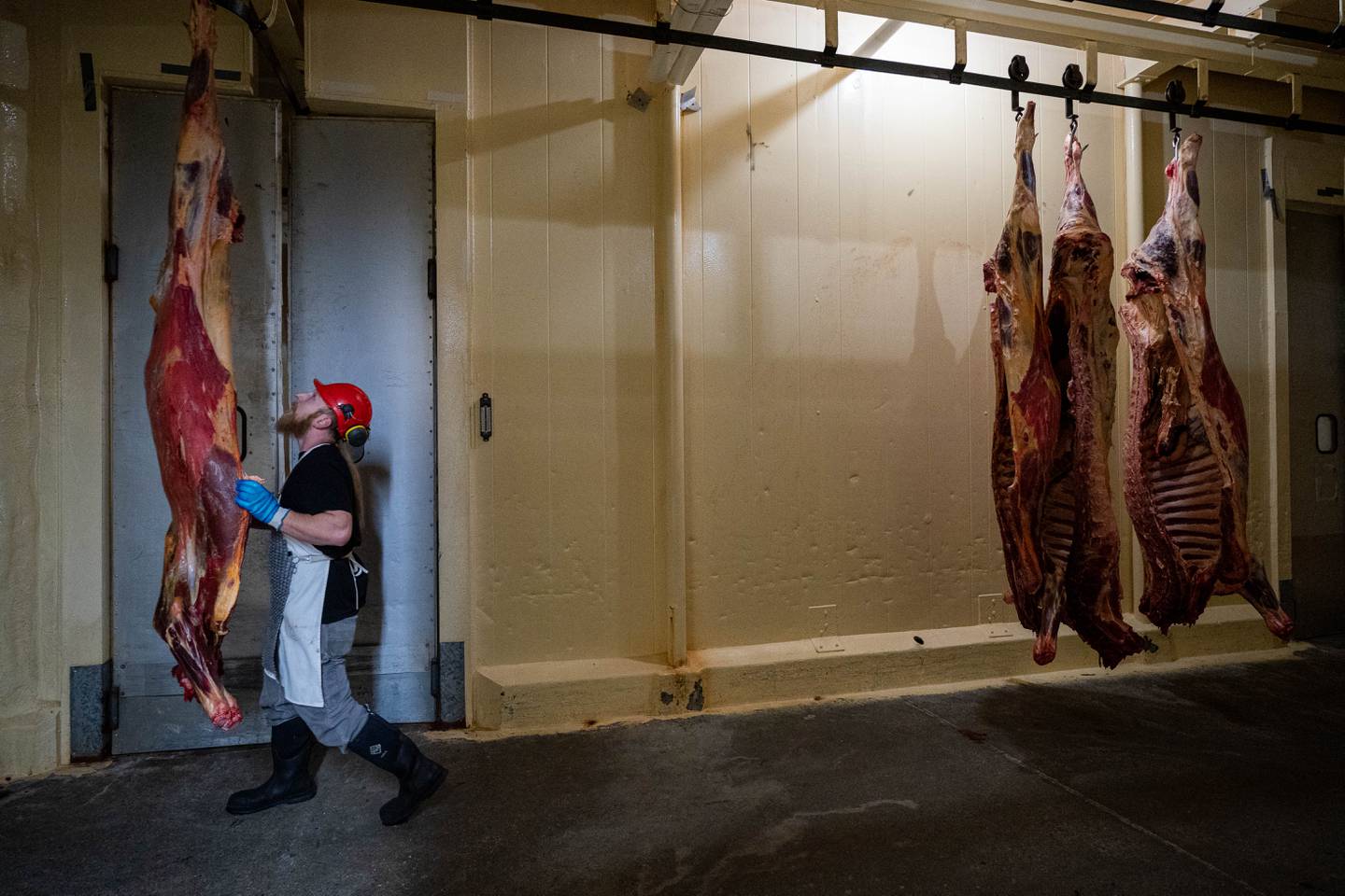 Alaska Meat Packers, food, meat, slaughterhouse