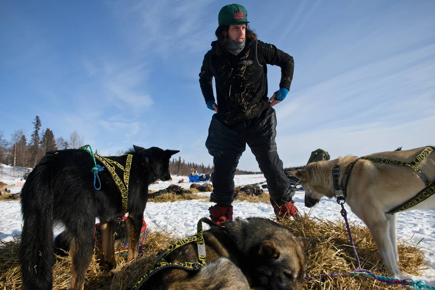 Iditarod Trail Sled Dog Race, Alaska Range, Finger Lake, Rainy Pass, Puntilla Lake