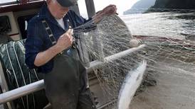 Half of Columbia River sockeye salmon dying due to warm water