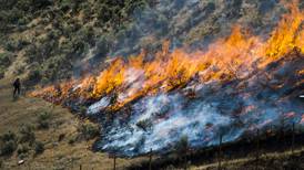 Plan to slow Western wildfires would clear strips of land 