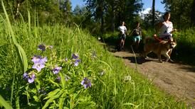 Tackle Anchorage’s terrific city trail system
