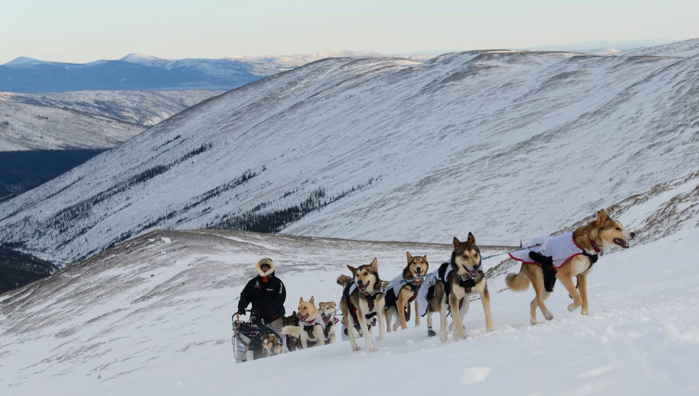 Yukon Quest, Steese Highway, Eagle Summit, Mile 101, Central checkpoint