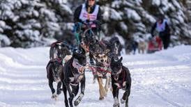 Fur Rondy rookies rule at 2024 Open World Championship sled dog races