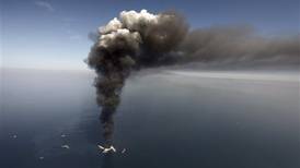 Leaner BP blanches at bill for Gulf spill cleanup