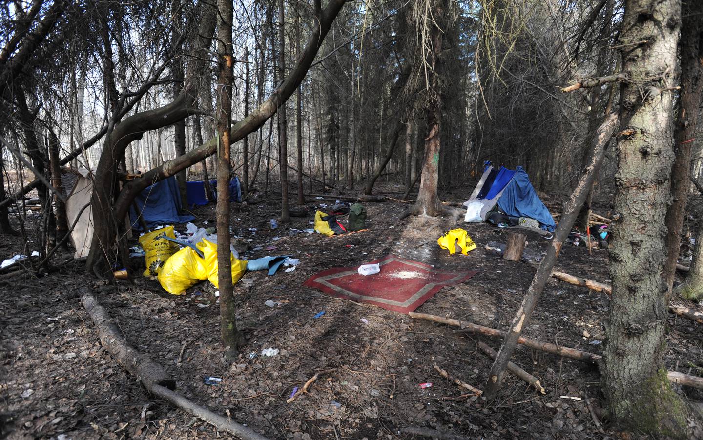 Homeless camp along the Chester Creek