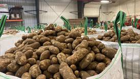 Could potatoes lose their status as a vegetable? The debate has deep roots.