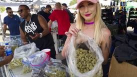 Once counterculture, the 420 marijuana holiday is going mainstream 