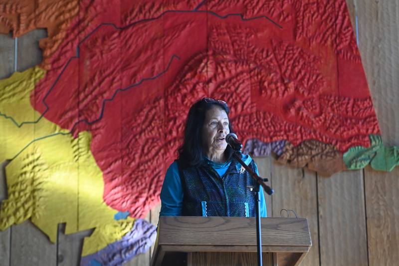 Head of Alaska’s largest Native organization says she’s leaving to make way for ‘new ideas’