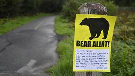 Woman injured by black bear in unusual encounter on Anchorage’s popular Coastal Trail 