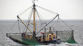 Russia's seafood import ban, bogus labeling hurt Alaska fishing industry