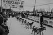Who’s racing in the 2024 Iditarod?