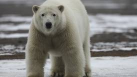 View from Kaktovik on polar bears and global warming