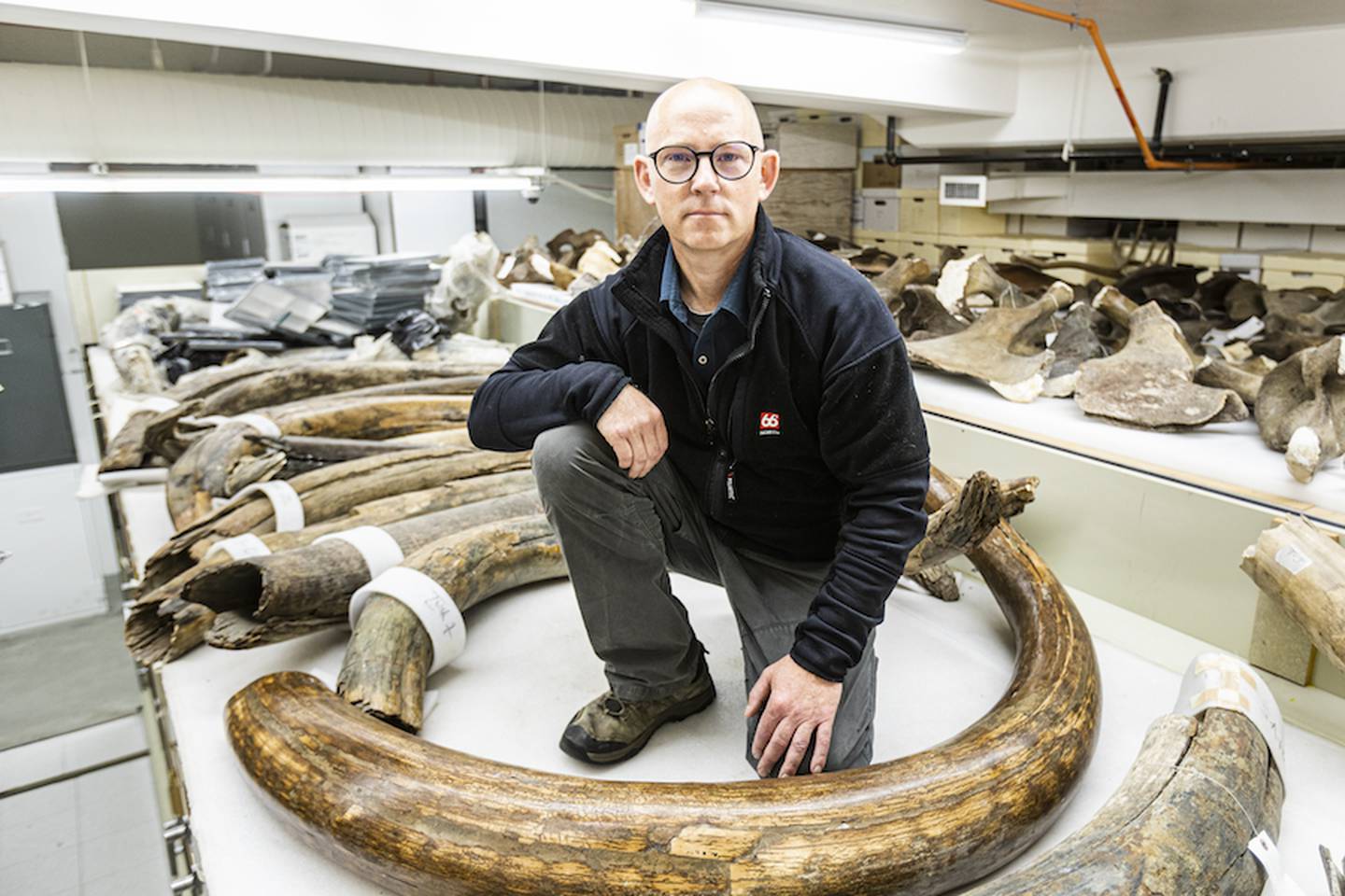 Matthew Wooler of the University of Alaska Fairbanks poses among the tusks of a woolly mammoth