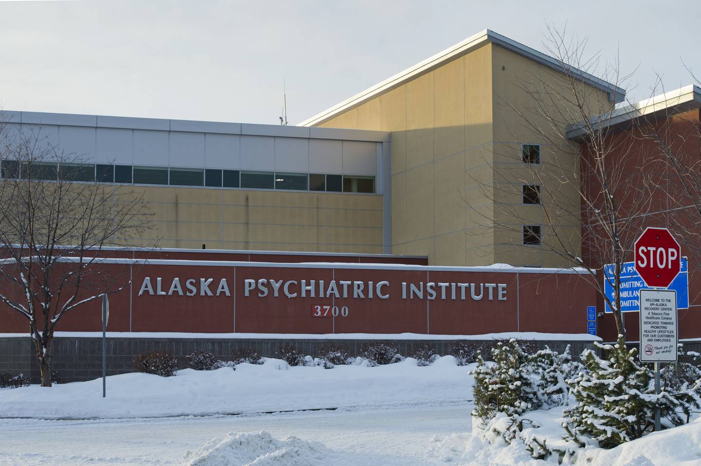 Alaska Psychiatric Institute, API