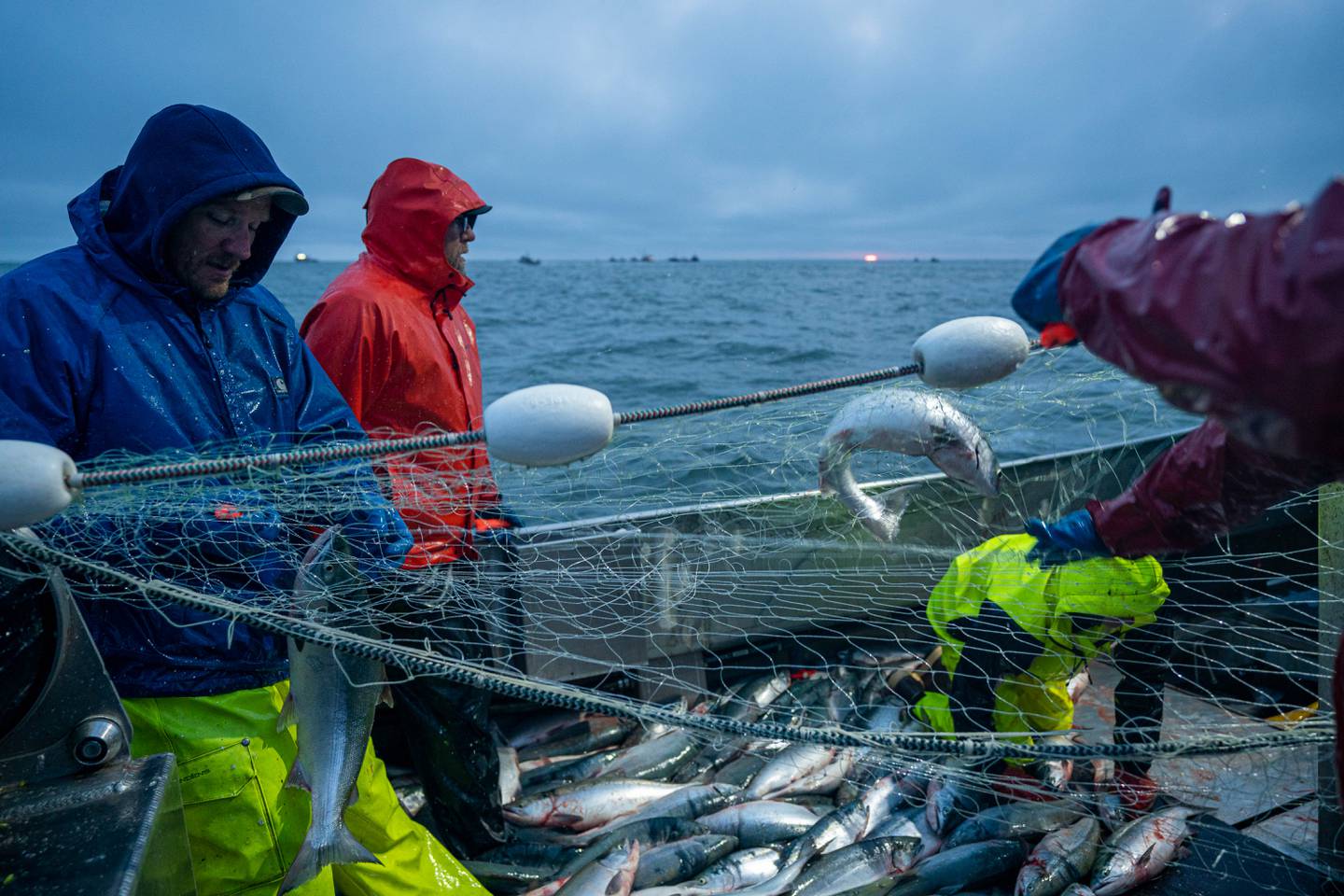 Bristol Bay, Twin Tuition, commercial fishing, fishing, salmon