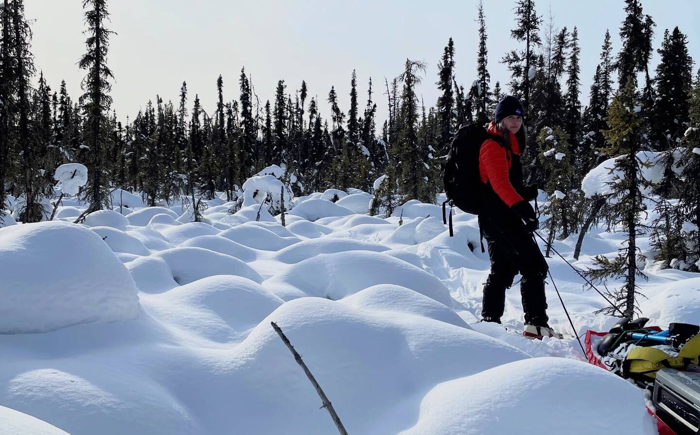 Carrie Vuyovich of NASA Goddard Space Flight Center in Maryland drags a sled through the boreal forest north of Fairbanks