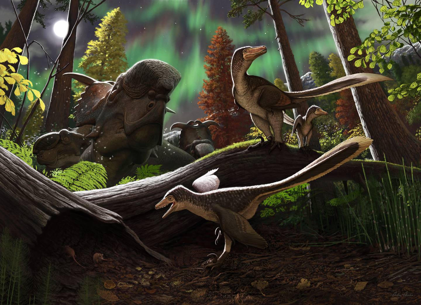 Paleontologists at SMU discover baby dinosaur jawbone in northern Alaska