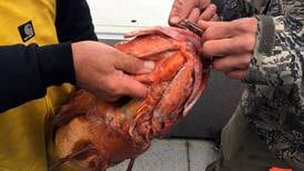 Soldotna man's invention helps ensure released rockfish survive