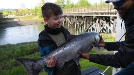 ‘We dream about this all year long’: Action heats up at Anchorage’s Ship Creek king salmon fishery