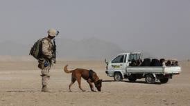 A soldier's best friend: military dogs in Afghanistan