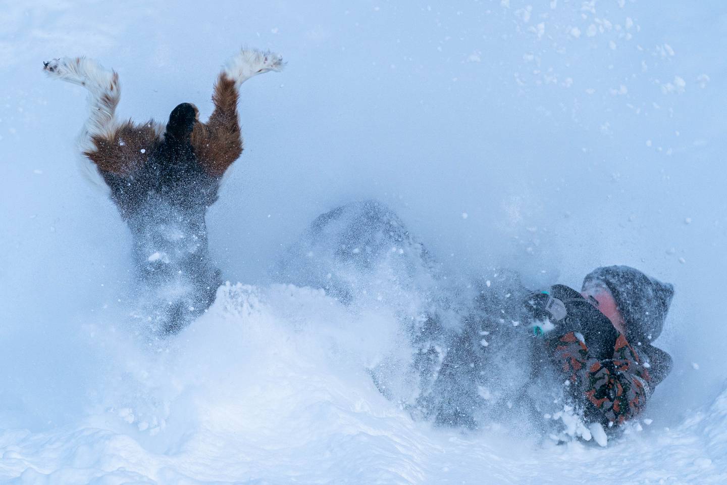 Colson Petersen, dog, sled, sledding, snow, weather, winter