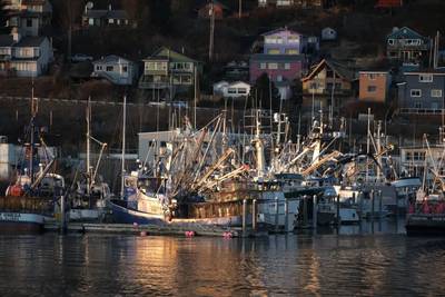After a 2-week stand-down, Kodiak’s Tanner crab strike is over