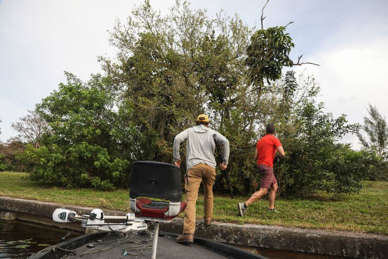 Michael and Zack rush ashore from their boat after spotting an iguana in the trees. (Cindy Karp for The Washington Post)