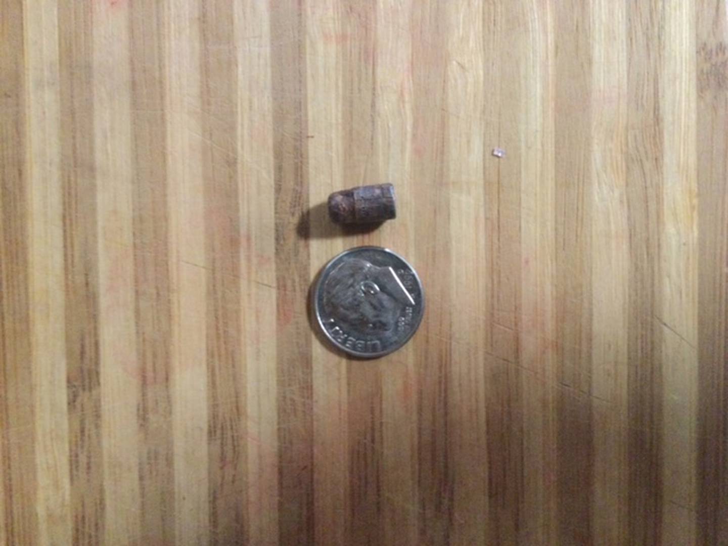 A .22 bullet that was taken from a moose