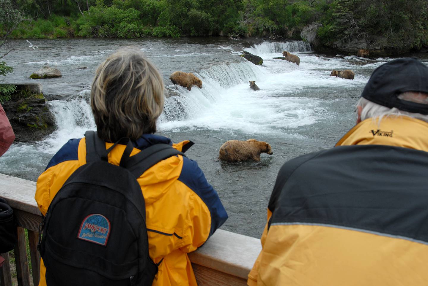 People view bears at Brooks River Falls in Katmai National Park