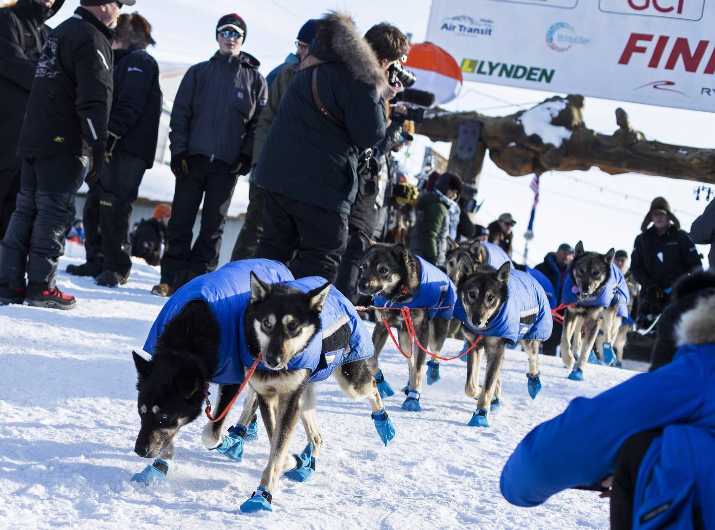 Nome, Iditarod, finish line, mushing, Iditarod Trail Sled Dog Race, front street, Pete Kaiser 