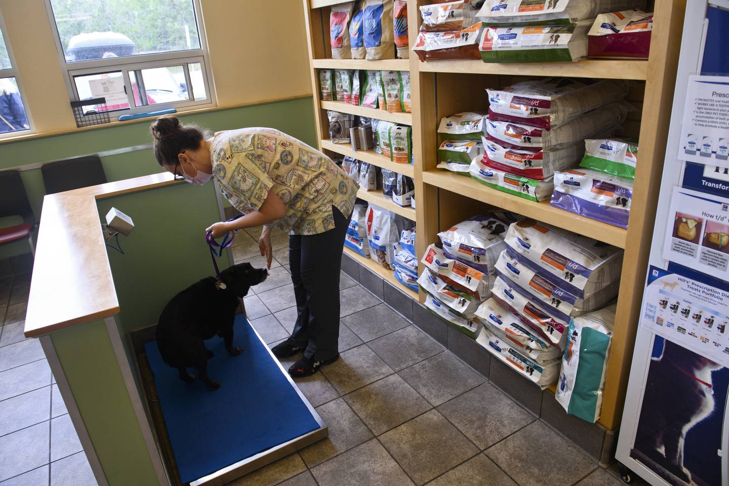 Anchorage veterinarians are inundated with patients, and there are no signs of a slowdown