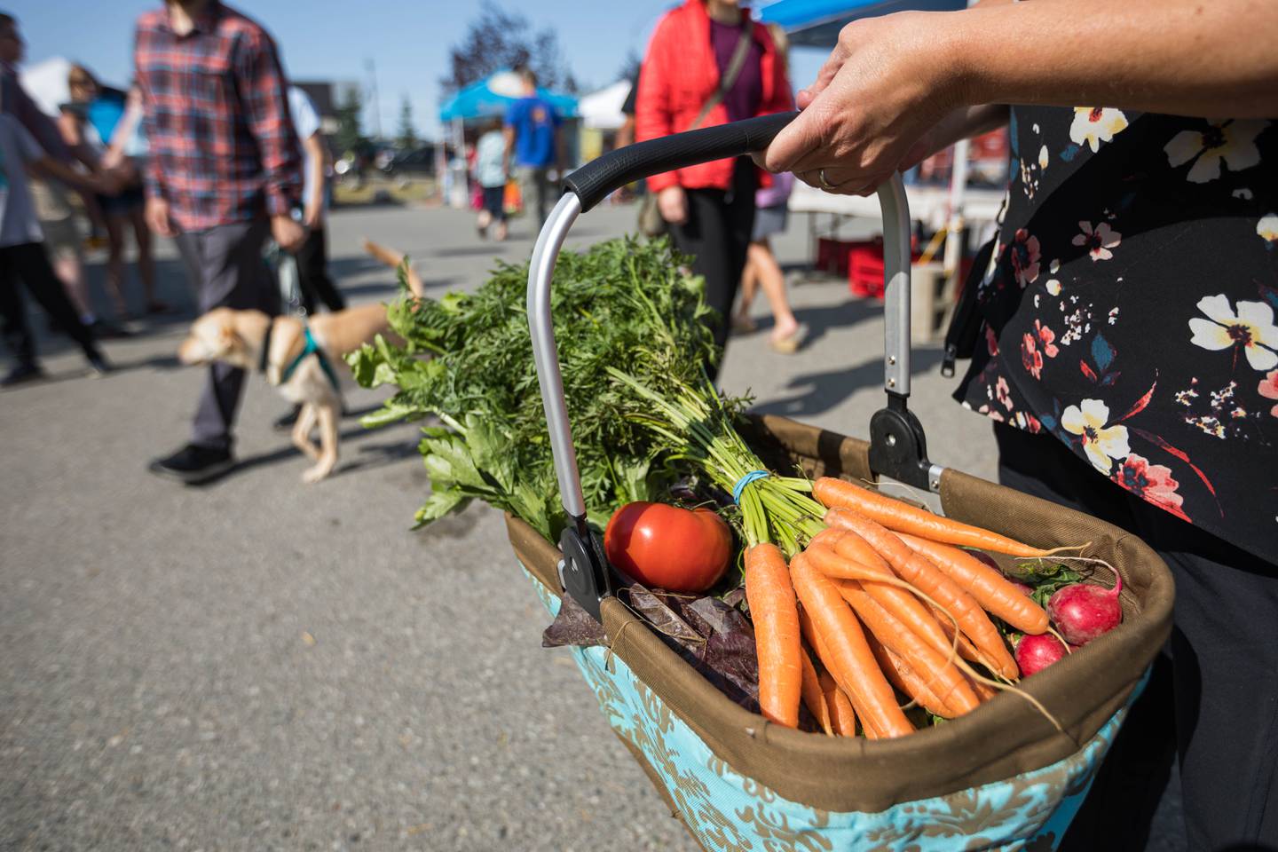 Alaska Grown, South Anchorage Farmers Market, Stefanie Stewart, carrot, carrots, farmer's market, farmers market, produce, radish, radishes, tomato, tomatoes