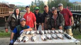 Ship Creek anglers are slaying silver salmon