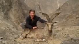 American trophy hunter pays $110,000 to kill a rare mountain goat in Pakistan 