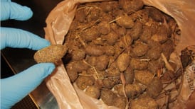 Some guy took a sack of moose poop through Juneau airport security 