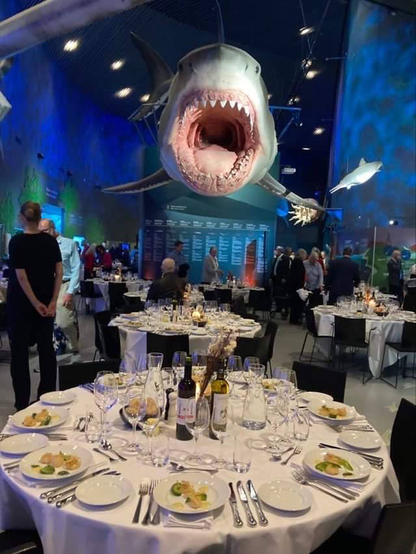 Dinner under the sea at the National Aquarium in Copenhagen