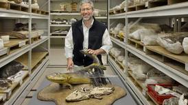 Fossil reveals transitional link from fins to feet