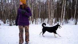 Anchorage Assembly to weigh tightening rules for off-leash dog walkers