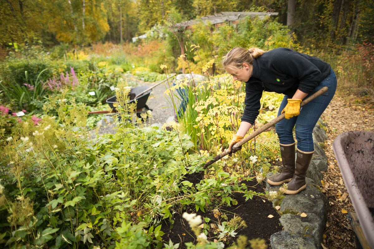 Here S How To Make Good Gardening Use Of This Warm Fall Weather